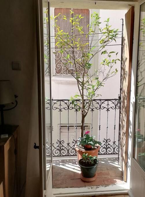 Maison De Village Dans Le Centre Du Vieux Quartier Marseillan  Eksteriør billede